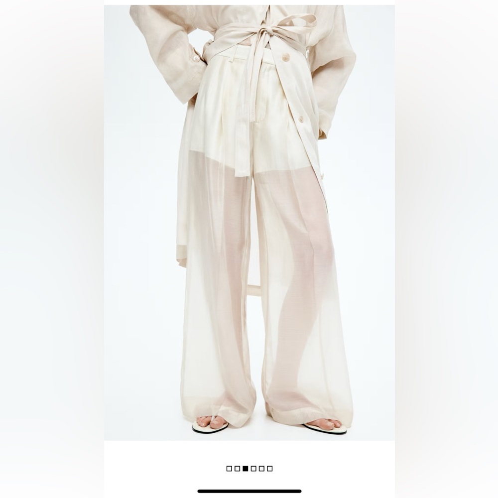 H&M Edition Wide-Leg Sheer Pants in Size 10